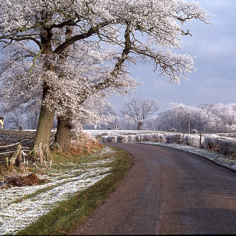 Winter-on-a-Cheshire-Lane-near-Marton