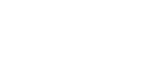 Logo Item