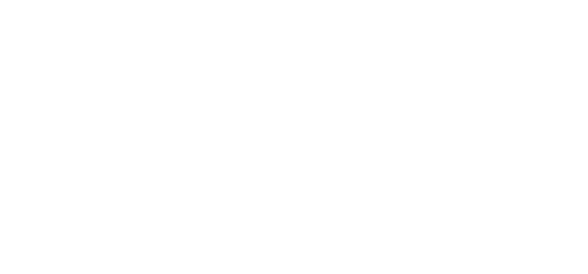 Logo Item