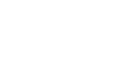 Logo Item
