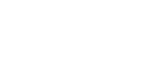 Logo Item