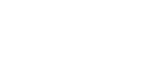 Logo Item