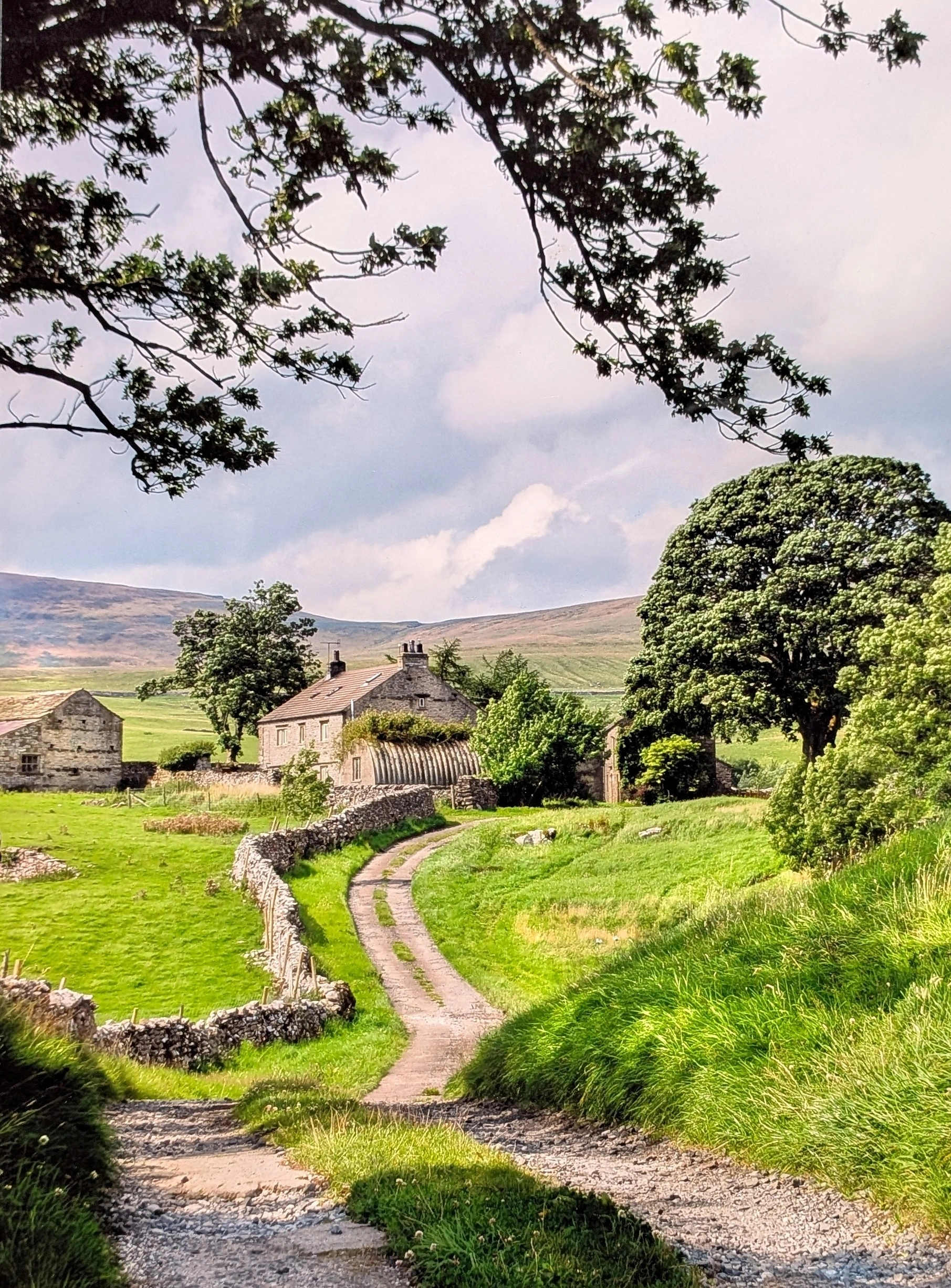 Pennine Farm, Ribblesdale Greeting Card